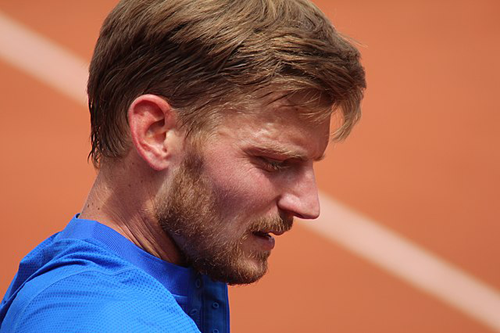 David Goffin le Belge des plus beaux joueurs de tennis